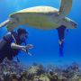Nikmati Keindahan Bawah Laut, Rekomendasi Spot Snorkeling di Jogja