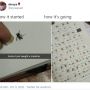 Punya Hobi Koleksi Nyamuk Mati, Warganet: Tertarik Entomologi?