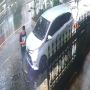 Detik-detik Aksi Pemobil Kepergok Curi Tanaman Mahal, Warganet Geram