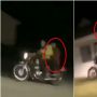 Viral Aksi Pemotor Ugal-ugalan Bikin Ngilu, Penumpangnya Sampai Terbang