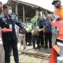 Sumber Daya Alam Melimpah, Sektor Pertanian Bisa Jadi Andalan Indonesia