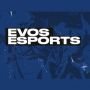 EVOS dan RRQ Kenalkan Roster Mobile Legends Ladies