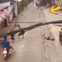 Sigap Banget, Refleks Pria Selamatkan Bocah Dari Terjangan Motor ini Keren!