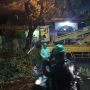 Dinas Lingkungan Hidup Gowa Buka Posko Pengaduan Pohon Tumbang