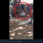 Pria Digantung, Kepala di Bawah Kaki di Atas, Ibu: Anakku Bukan Binatang