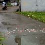 Habis Hujan Terbitlah Kondom, Berceceran di Sebuah Gang Kota Tangerang