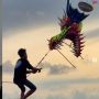 Seru Banget, Main Layang-layang Naga Raksasa Bisa Sambil Terbang