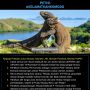 Ramai Foto Komodo Hadang Truk, PKS: Yang Untung Investor Swasta