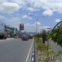Warga Potong Pohon Gegara Tutupi Reklame, Pemkot Pekanbaru Merugi 113 Juta