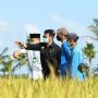 Petani dalam Program Food Estate akan Terima Asuransi Usaha Tani Padi