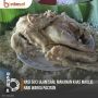 5 Tradisi Maulid Nabi di Indonesia: Masak Nasi Suci Ulam hingga Menghiasi Perahu Nelayan