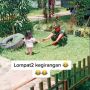 Haru! Balita Ini Akhirnya Bertemu Ayahnya Usai Lama Ditinggal Tugas Negara
