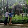 Taman Margasatwa Ragunan Tutup Selama Tiga Hari, Catat Tanggalnya!