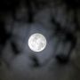 Penampakan Blue Moon di Langit Sulawesi Selatan