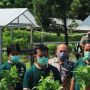 Nilai Tukar Petani Naik di Januari 2021, Ini Komoditas yang Mempengaruhinya