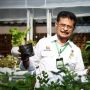 Hari Pangan Sedunia, Petani Muda Ajak Milenial Tekuni Urban Farming