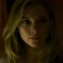 Sinopsis Patient Zero, Film tentang Wabah Rabies