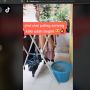Niat Bantu Istri di Rumah, Suami Cuci Baju Pakai Cairan Pembersih Lantai