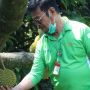Mentan : Pasarnya Luas, Durian Jadi Buah Unggulan Indonesia