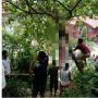 Anak SMP Gantung Diri di Pohon Nangka karena Putus Cinta