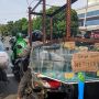 Pemotor Bawa Aquarium Jumbo Pakai Motor, Tempelan Tulisannya Bikin Emosi