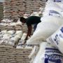 Salurkan Bansos Beras ke 10 Juta KPM, Kemensos Apresiasi BGR Logistics
