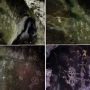 Penemuan Lukisan di Dinding Gua Basurek Sumbar, Diduga Berusia Ribuan Tahun
