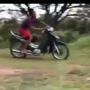 Bukan Kaleng-kaleng, Honda Supra Ini Bikin Kawasaki KLX Menangis