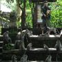 Monkey Forest Ubud Kembali Dibuka