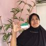 JKN-KIS Beri Orang Harapan untuk Sembuh