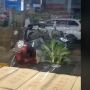 Viral Honda Scoopy 'Dicolong' Orang, Pemilik Justru Ketawa Terbahak-bahak