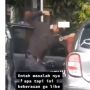Viral Cewek Dianiaya, Digencet Cowoknya di Mobil karena Toxic Relationship