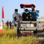 Tahun Depan, Sektor Pertanian Diprediksi Masih Masih Terus Tumbuh