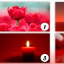 Tes Kepribadian: Ketahui Karakter Anda Lewat Warna Merah Pilihan