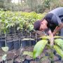 Ini Cara Penjual Bibit Tanaman di Kendal untuk Bertahan Saat Pandemi