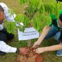 Rolling Hills Karawang Tanam Ratusan Pohon Trembesi