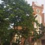 Kocar-Kacir! Uskup Agung Ini Sembunyikan Pejuang Indonesia di Gereja