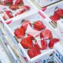 Wow, Harga Buah di jepang Lebih Mahal Daripada Makan di Restoran Michelin