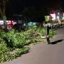 Pemkot Bandung Ganti Rugi Kendaraan Tertimpa Pohon, Bagaimana Makassar?
