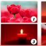 Tes Kepribadian: Warna Merah Mana yang Kamu Sukai?