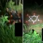 Geger Sekelompok Orang Gelar Ritual Pengabdi Setan, Netizen: Ahh Settingan