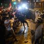 Presidenya Dilengserkan, Warga Peru Ngamuk