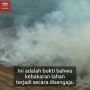 Investigasi Pembakaran Hutan Papua: Bakar lahan untuk Perluasan Lahan Sawit