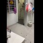 Lupa Tutup Tempat Sampah, Ratusan Kecoak Serbu Rumah Warga Bukit Batok