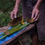 Produksi Madu Warga Suku Baduy