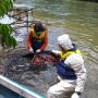 Gegara Tak Bisa Berenang, Kakak Beradik Tewas Tenggelam di Sungai Musi