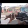 Viral Pemalak Ancam Pecah Kaca Truk di Pintu Tol Jakabaring, Publik Geram