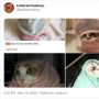 Viral Baju Ukhti untuk Kucing, Publik: Biar Tak Melulu Hamil di Luar Nikah