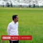 Proyek Food Estate: Awas Bencana dan Konflik dengan Masyarakat Adat