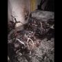 Diputus Cinta, Pemuda di Pekanbaru Nekat Bakar Motor Pacar & Mobil Ibu Kos